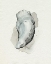 Picture of OYSTERS ON THE BAY II