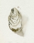 Picture of OYSTERS ON THE BAY IV