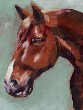 Picture of PAINT BY NUMBER HORSE I