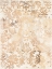 Picture of WALNUT DAMASK II