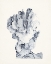 Picture of BLUE ANTIQUE CORAL IV