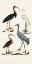 Picture of WATERBIRD VARIETIES I