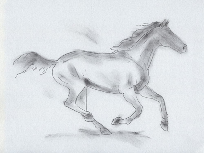 Picture of SMOKE STALLION I