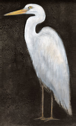 Picture of WHITE HERON PORTRAIT II