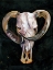 Picture of HORNED SKULL II
