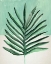 Picture of VERGING PALM I