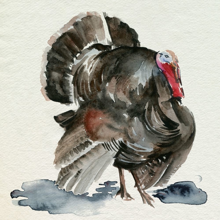 Picture of WATERCOLOR TURKEY I