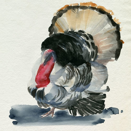 Picture of WATERCOLOR TURKEY II