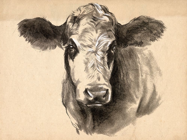 Picture of CHARCOAL COW I