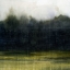 Picture of MOSSY TREELINE I