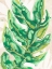 Picture of PARCHMENT PALMS III