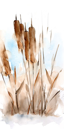 Picture of WATERCOLOR CATTAIL STUDY I