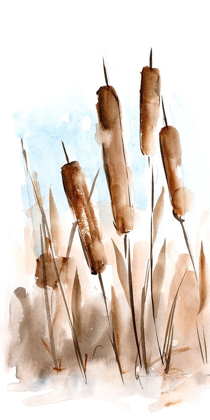 Picture of WATERCOLOR CATTAIL STUDY II