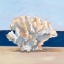 Picture of CORAL BY THE SHORE II