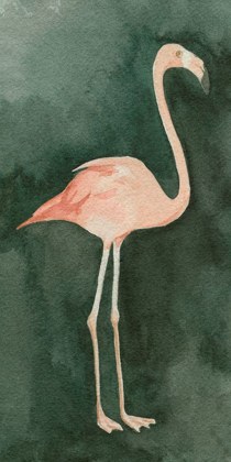 Picture of FOREST FLAMINGO II