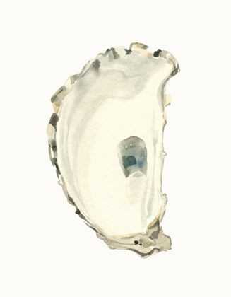 Picture of NEUTRAL OYSTER STUDY II