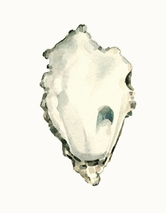 Picture of NEUTRAL OYSTER STUDY IV