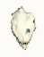 Picture of NEUTRAL OYSTER STUDY IV