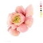 Picture of WATERCOLOR RANUNCULUS STUDY II