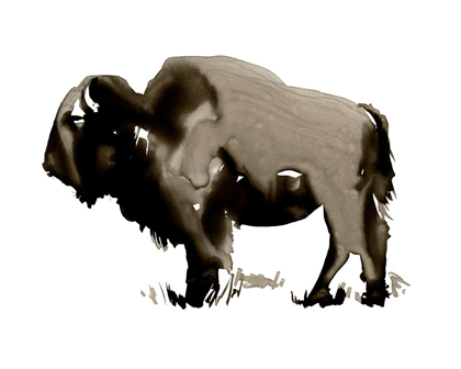 Picture of MONOCHROME BISON II