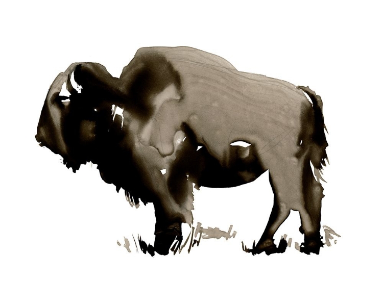 Picture of MONOCHROME BISON II