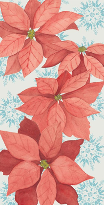 Picture of CHRISTMAS POINSETTIAS COLLECTION B