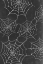 Picture of SPOOKY CHALKBOARD COLLECTION E