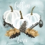 Picture of ELEGANT HARVEST COLLECTION A
