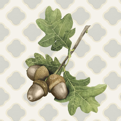 Picture of SWEET AUTUMN COLLECTION A
