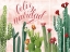 Picture of CHRISTMAS CACTUS COLLECTION A