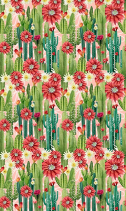 Picture of CHRISTMAS CACTUS COLLECTION E