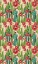 Picture of CHRISTMAS CACTUS COLLECTION E