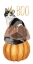 Picture of HOWLOWEEN COLLECTION B