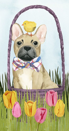 Picture of PUPPY EASTER COLLECTION B
