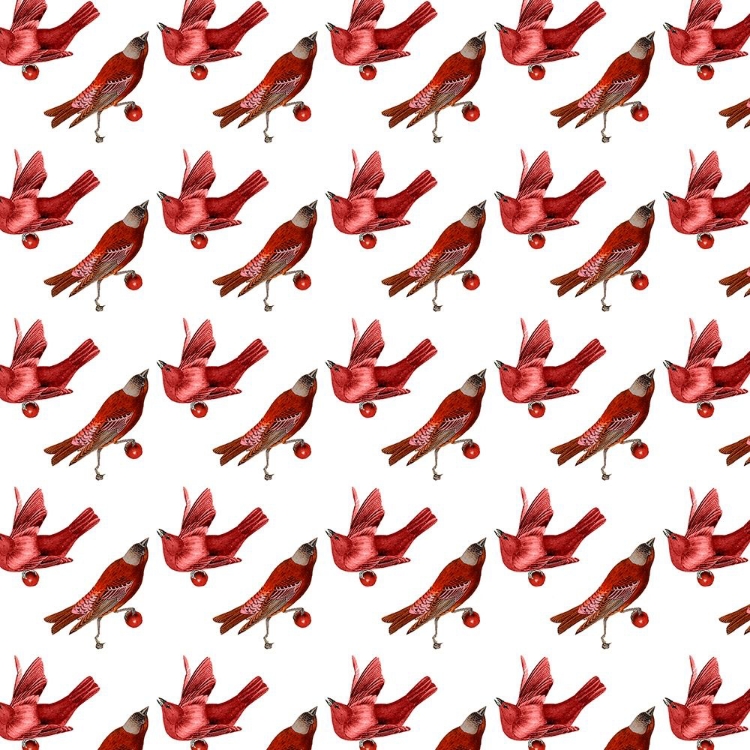 Picture of RED BIRD CHRISTMAS COLLECTION H