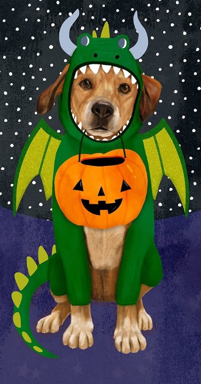 Picture of HALLOWEEN PETS COLLECTION B