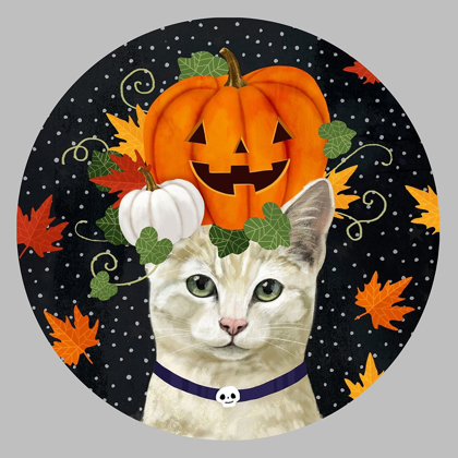 Picture of HALLOWEEN PETS COLLECTION C