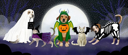 Picture of HALLOWEEN PETS COLLECTION D