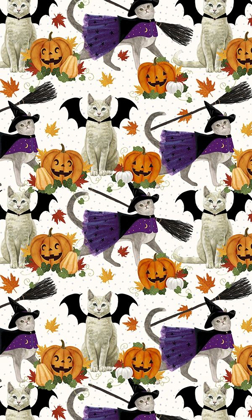 Picture of HALLOWEEN PETS COLLECTION E