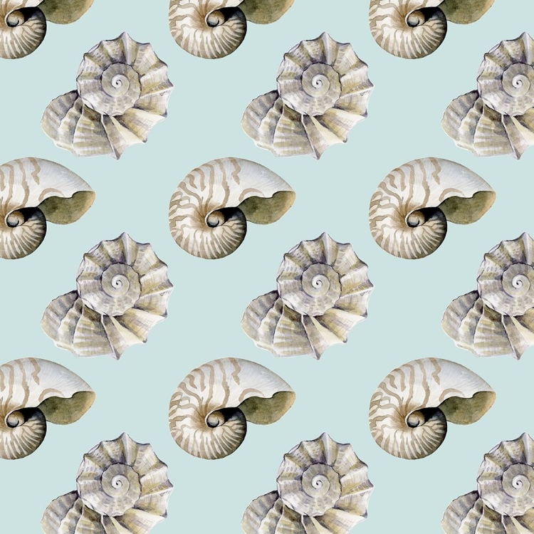 Picture of THE SEA SANTA COLLECTION G
