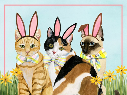 Picture of EASTER CATS COLLECTION A