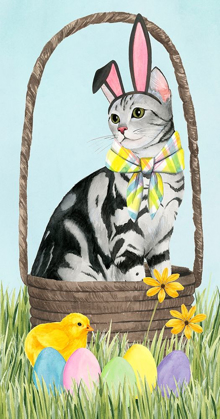 Picture of EASTER CATS COLLECTION B