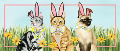 Picture of EASTER CATS COLLECTION D
