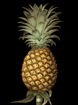 Picture of CUSTOM BROOKSHAW EXOTIC PINEAPPLE I (CR)