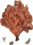 Picture of RED CORAL (N) IV