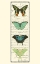 Picture of SMALL BUTTERFLY PROSE PANEL II (P)