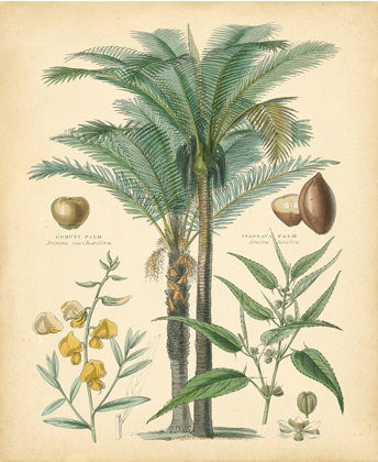 Picture of FRUITFUL PALM I