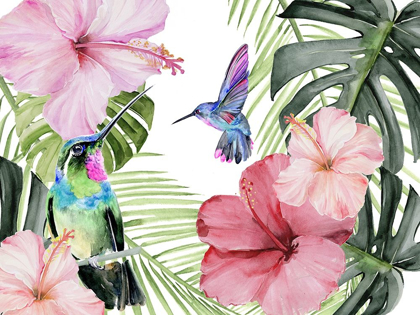 Picture of HIBISCUS AND HUMMINGBIRD COLLECTION A