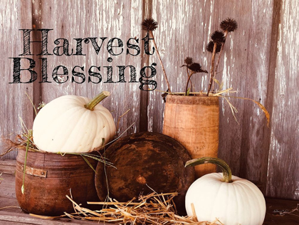 Picture of HARVEST BLESSINGS