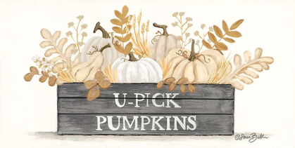 Picture of U-PICK PUMPKINS    